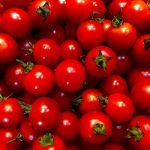 Manfaat tomat ceri