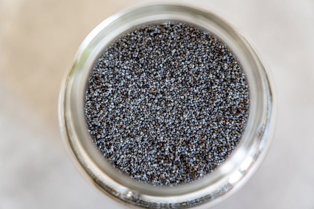 manfaat chia seeds