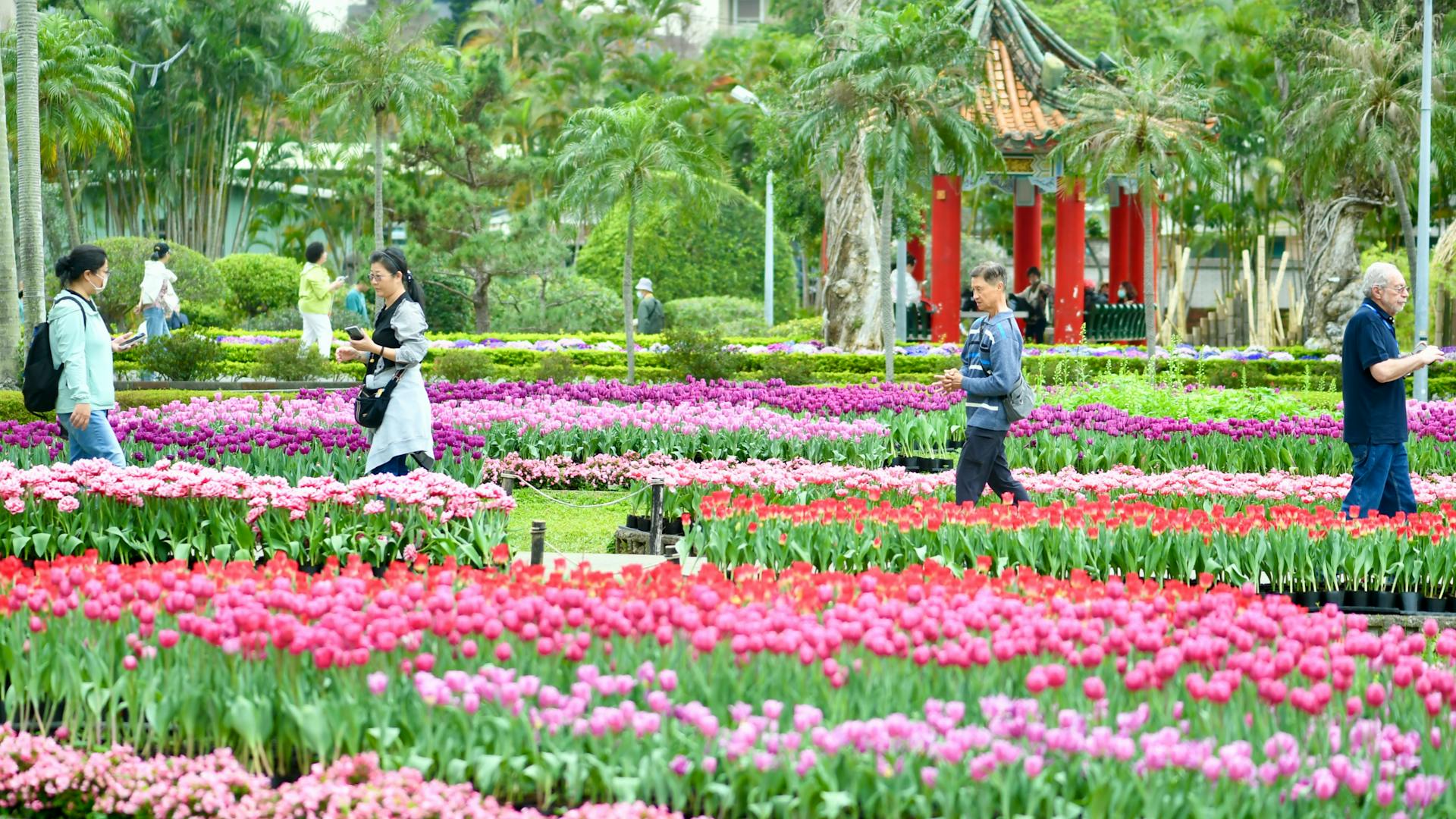 Kebun bunga
